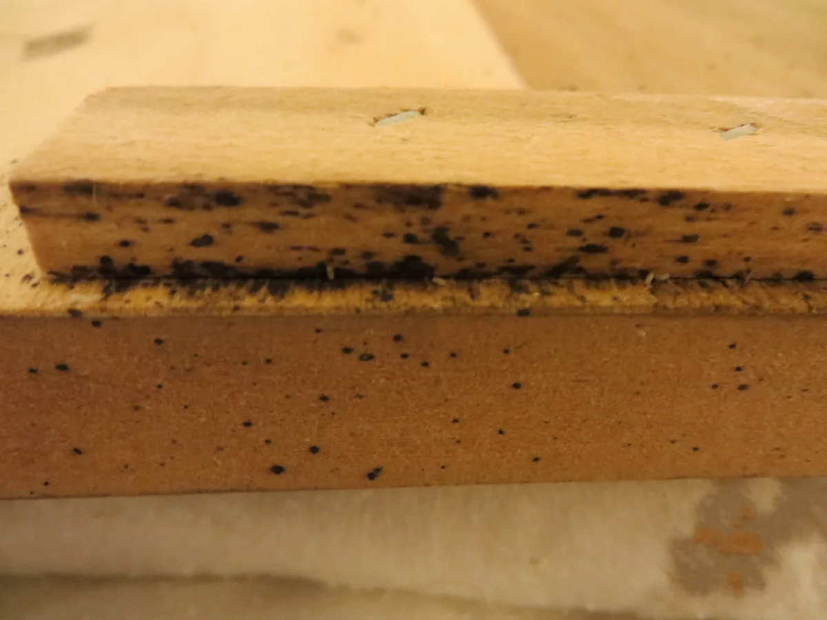 ベッドの木枠の縁に黒い点のしみが集まって付いている様子。トコジラミのフン（血糞）の跡